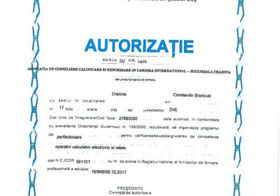 Operator Calculator Electronic Si Retele 1 724x1024 1