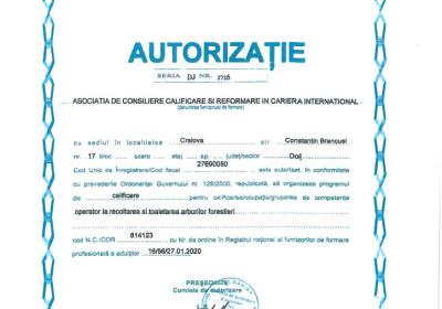 Operator La Recoltarea Si Toaletarea Arborilor Forestieri 1 724x1024 1