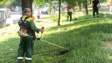 Lucratori calificati în agricultură silvicultură și pescuit